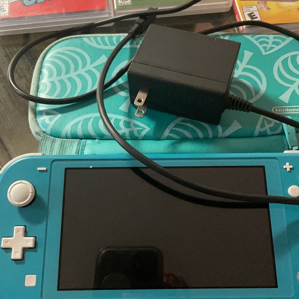 Nintendo switch lite